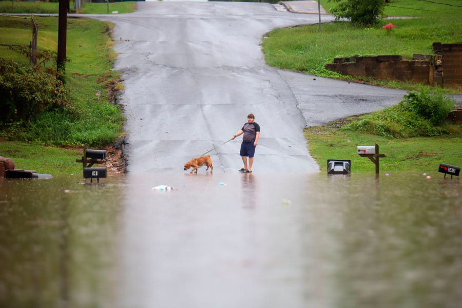 A young man walks his dog along a flooded Bittings Avenue on Sunday, Sept, 4, 2022, in Summerville, Georgia. Thunderstorms and heavy rain pounded parts of northwest Georgia on Sunday, sparking flash flooding in some areas.