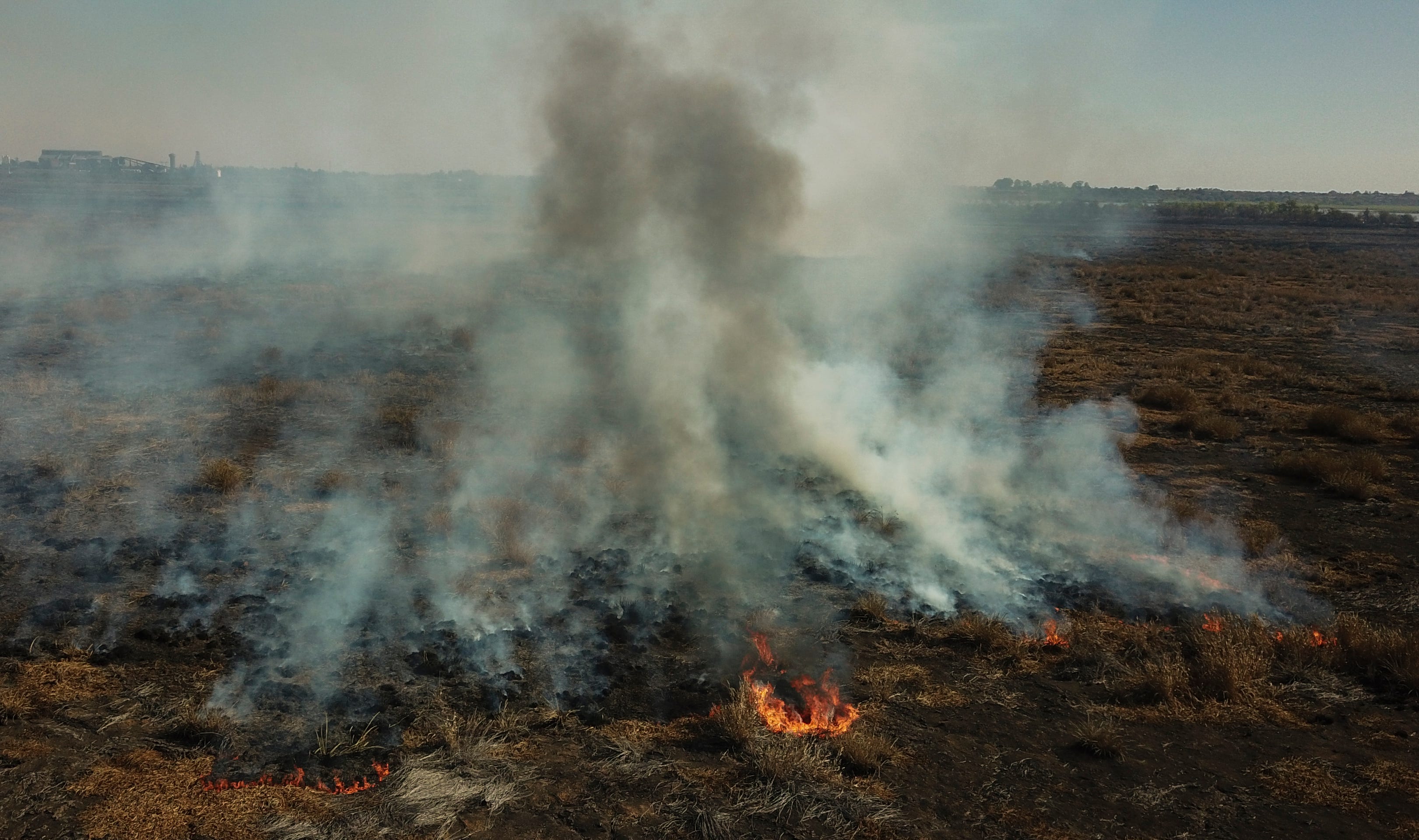 Fact Check: Climate Change Is Caused By Humans And Worsens Heat Waves