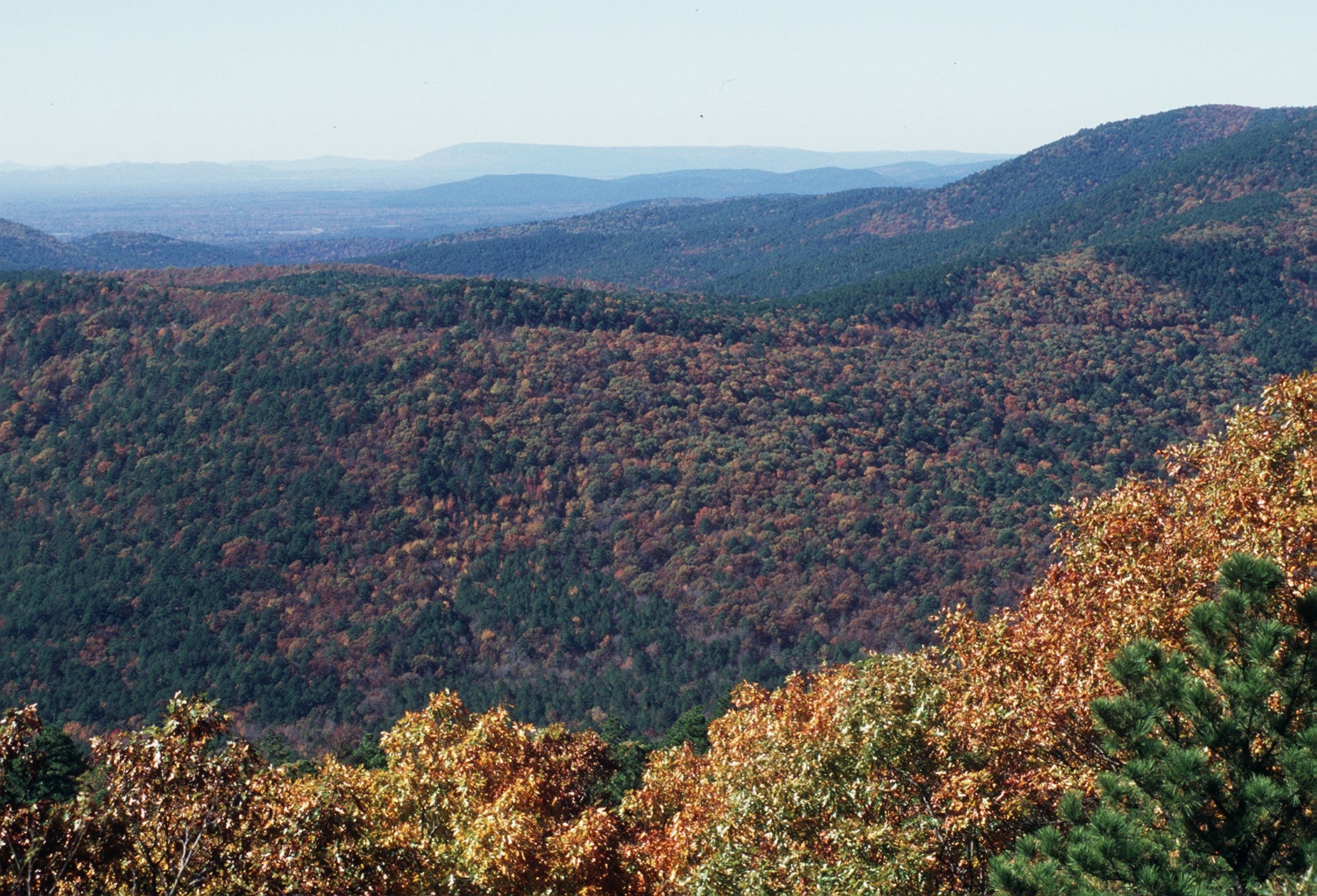 Mountain Valley Spring Water of Asheville's water source