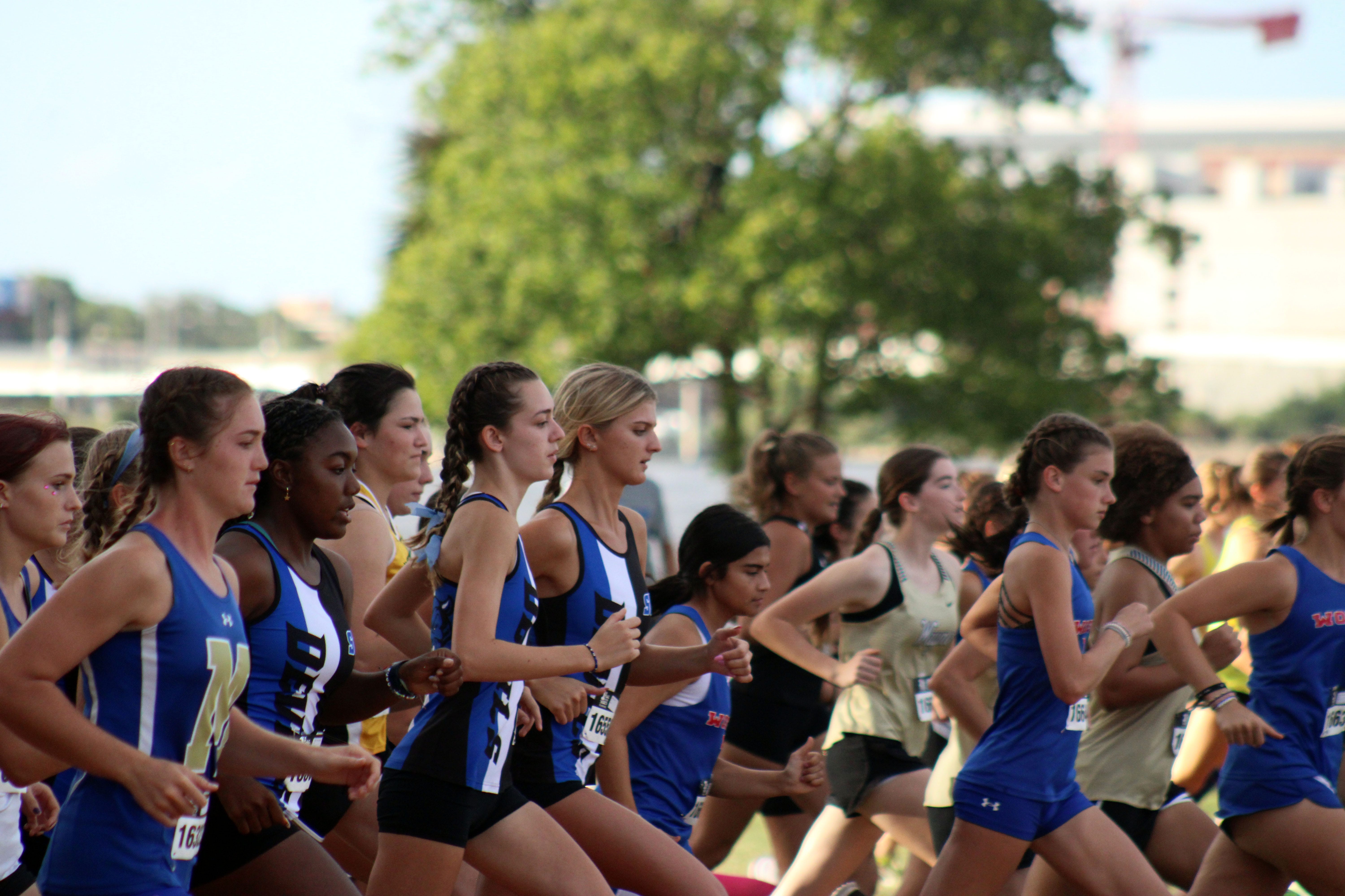 High school cross country 2022 Jacksonville district schedules, previews