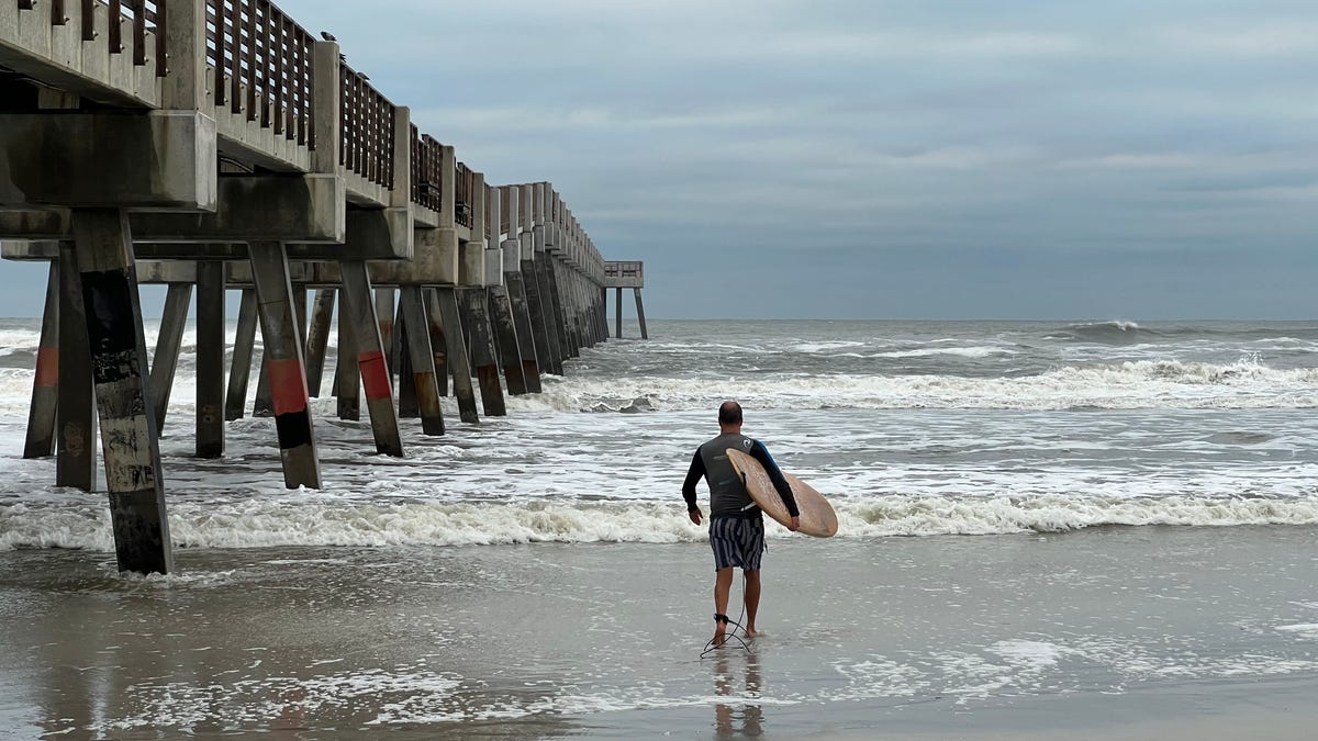 what beaches in jacksonville allow dogs