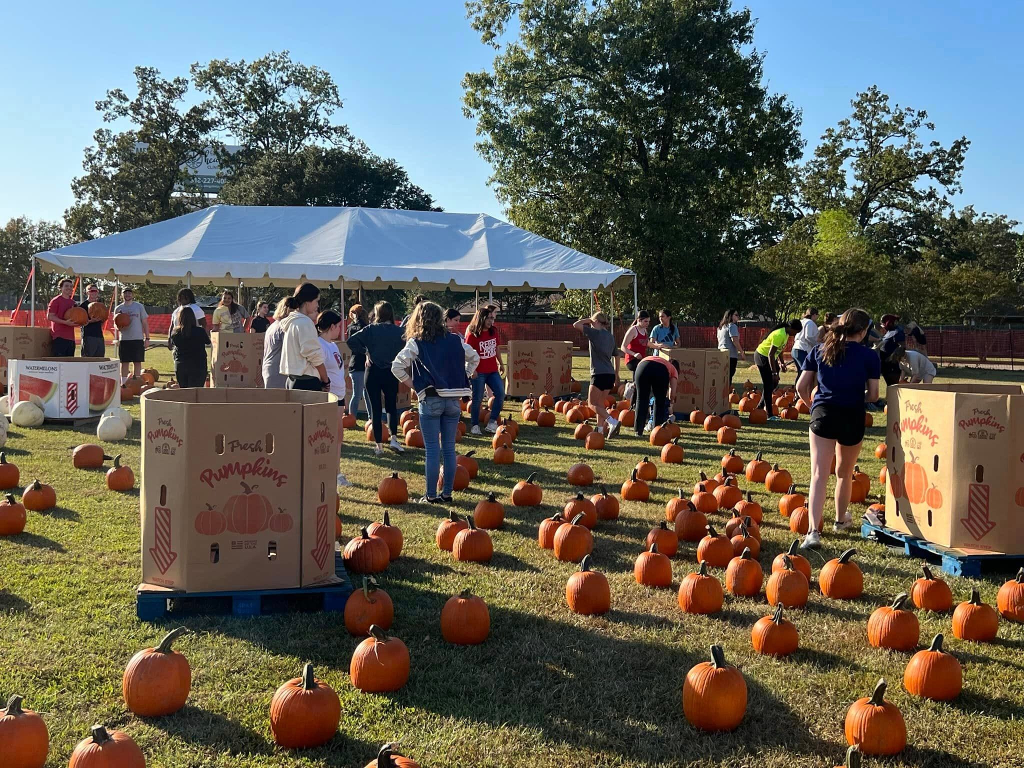 pumpkin patch monroe ga