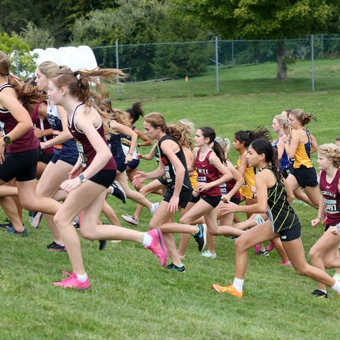 The Brewster Bear Cross Country Invitational at Br