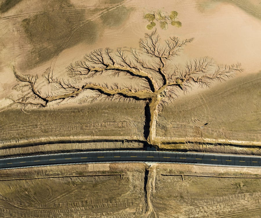 The 2022 Grand Prize  of The Nature Conservancy Photo Contest 2022 went to photographer Li Ping in China, who captured a drone's eye view of a lonely highway in Tibet, bordered on each side by gullies extending outward in the shape of a tree. Ping slept in a roadside parking lot overnight to get this striking early morning shot. As Grand Prize winner, Li Ping will have the opportunity to attend an Extreme-E race in Punta del Este, Uruguay