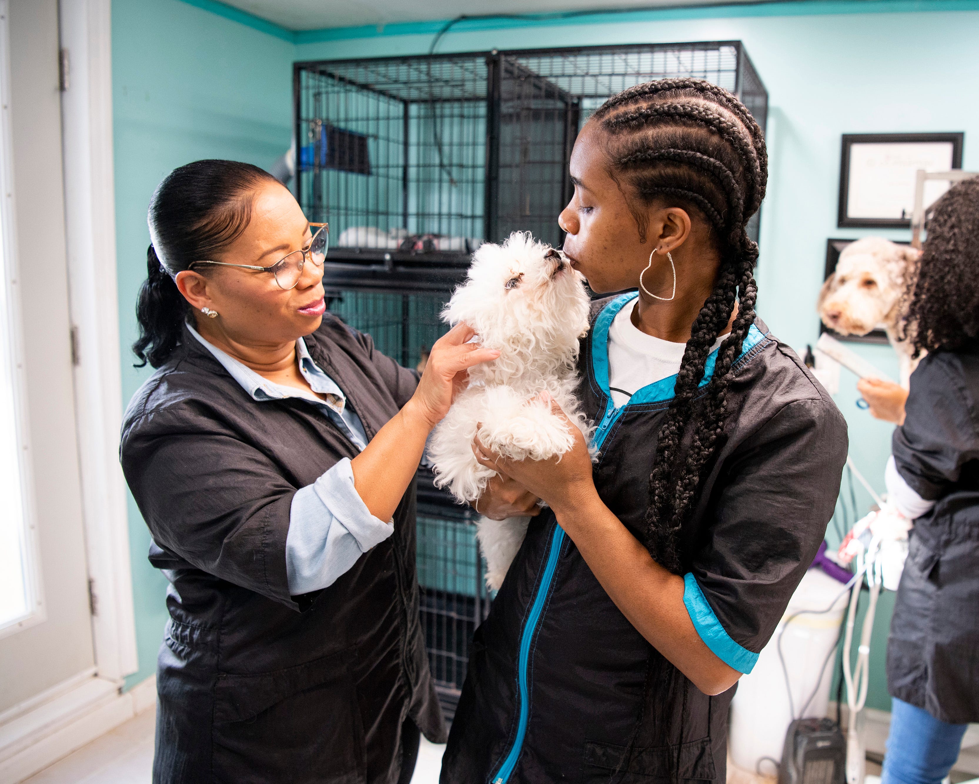 Black owned pet grooming near sale me