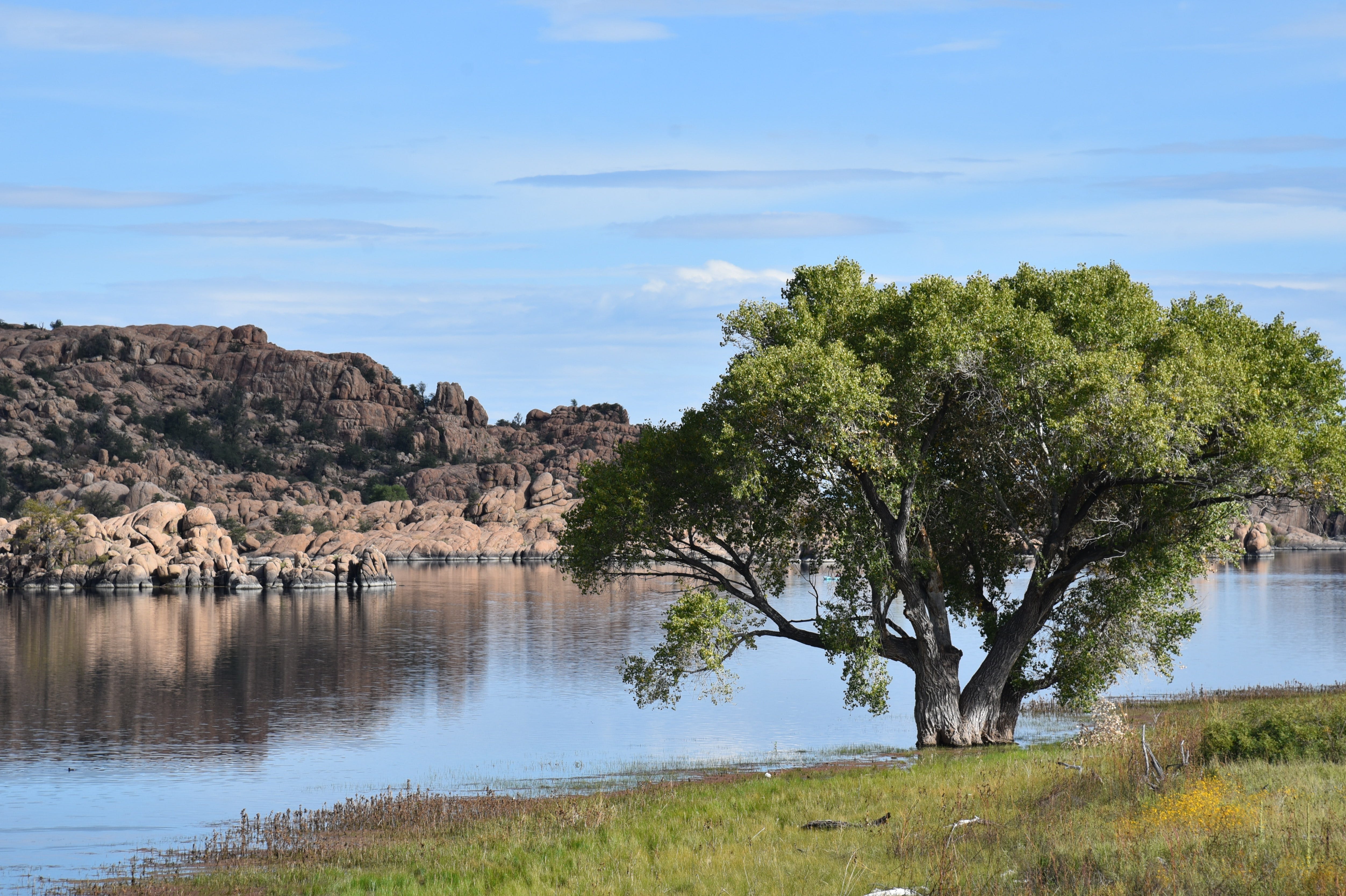 Prescott AZ Hike See The Granite Dells Via The Peavine Trail   03299ffa 92ad 4c00 8b74 B5d1f5b5d551 WatsonLakeCottonwood.JPG