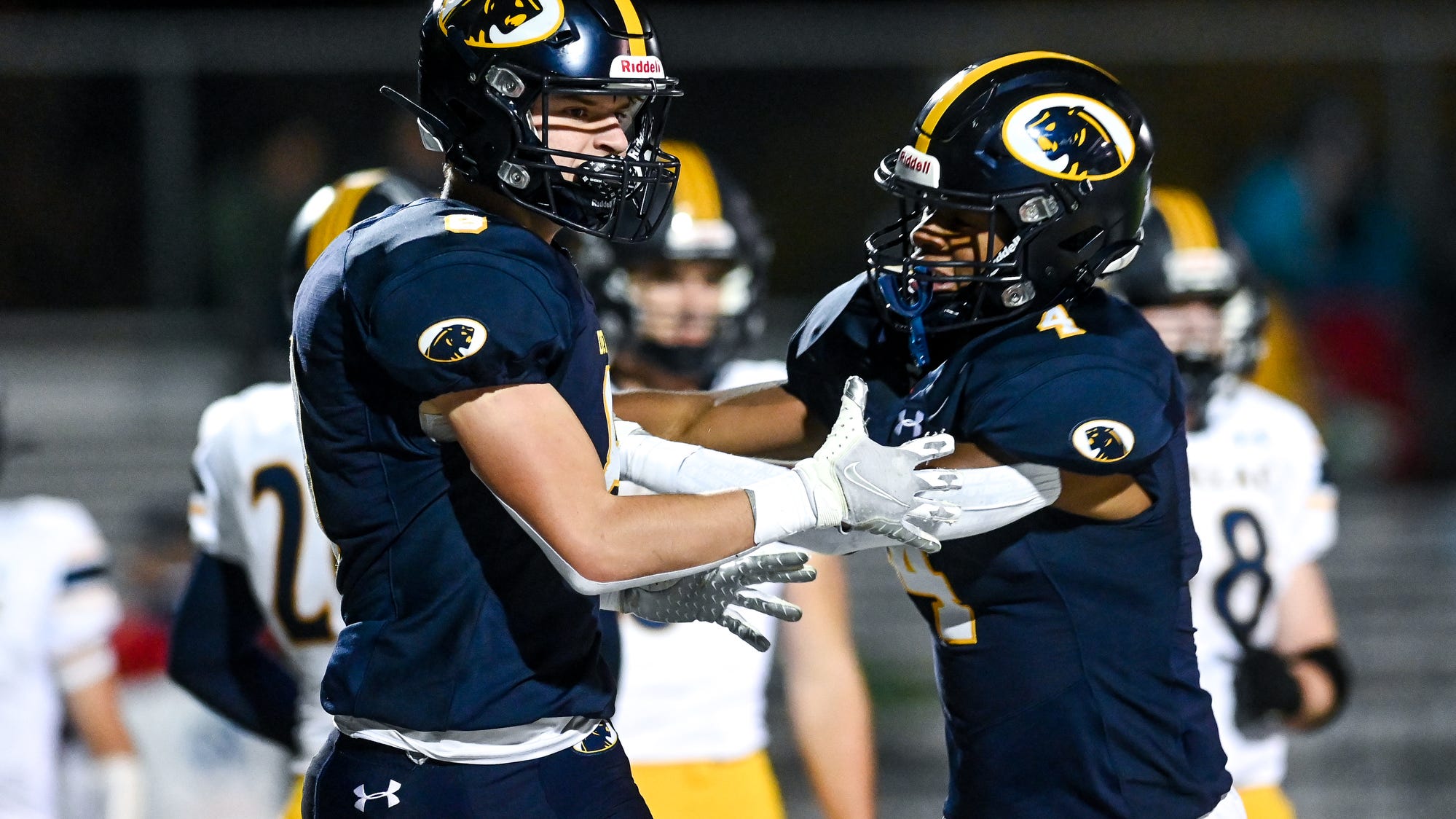 Football roundup DeWitt, Lansing Catholic, Mason win playoff openers