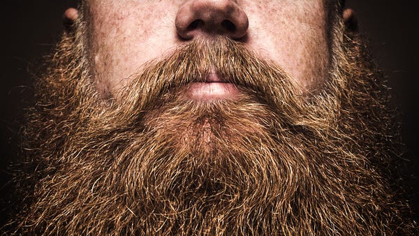 A close up portrait of a mans large red beard, his