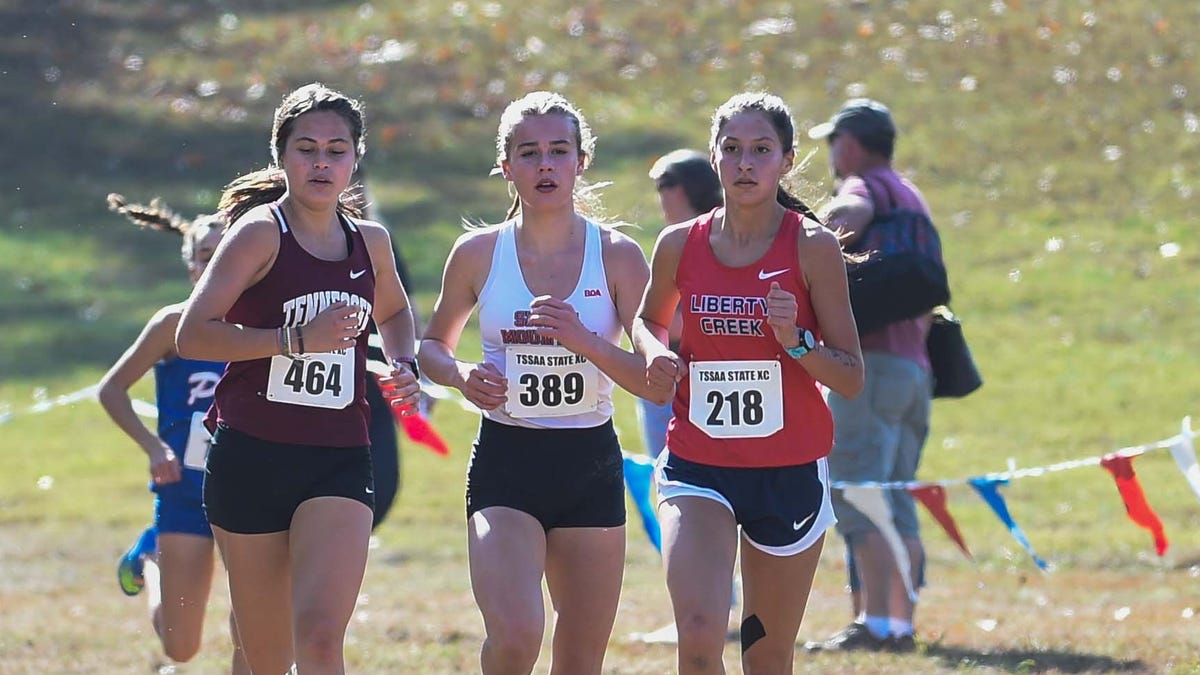 TSSAA cross country state championships in pictures