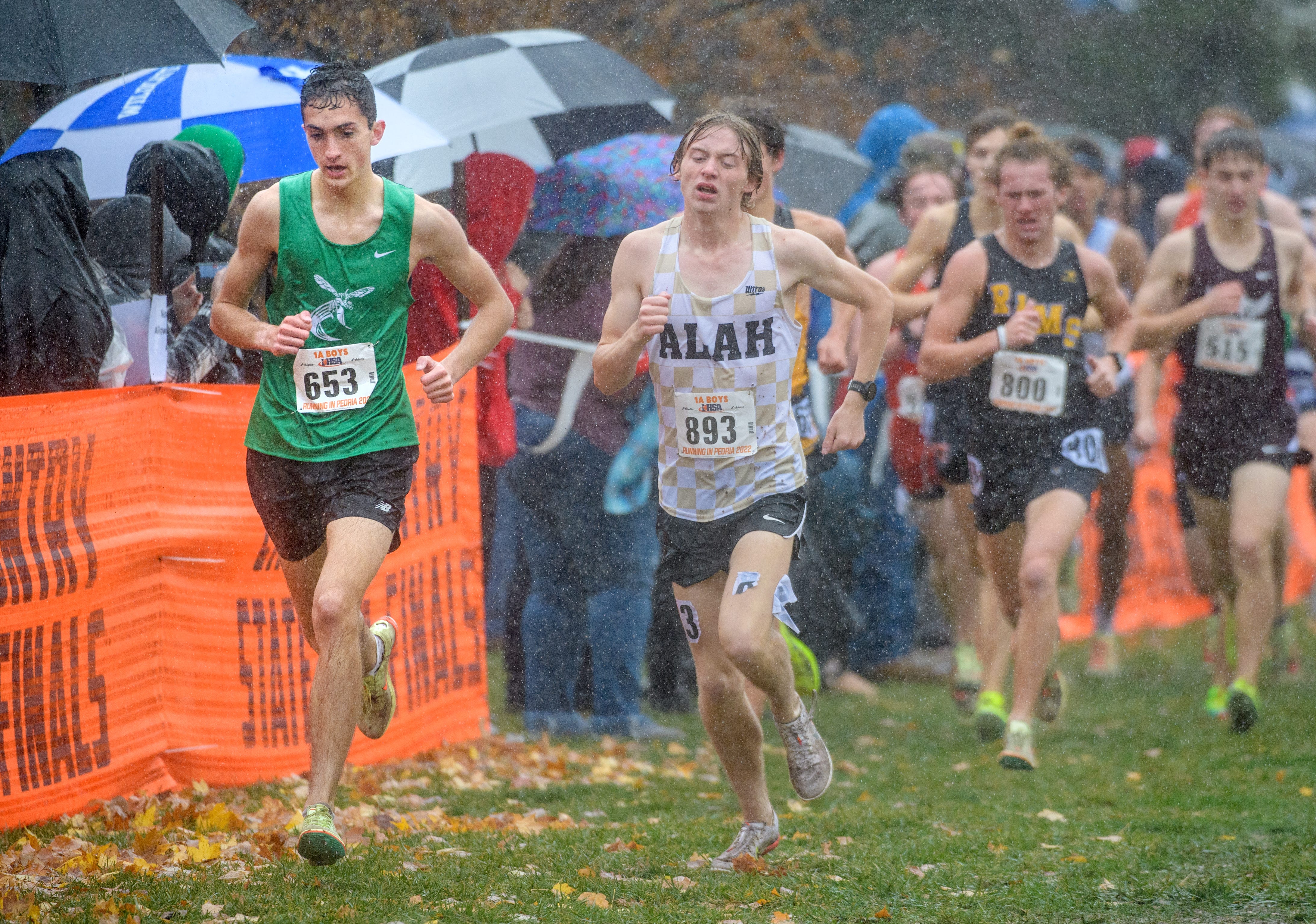 2022 IHSA Cross Country State Finals: Top Teams, Runners, Times At Peoria