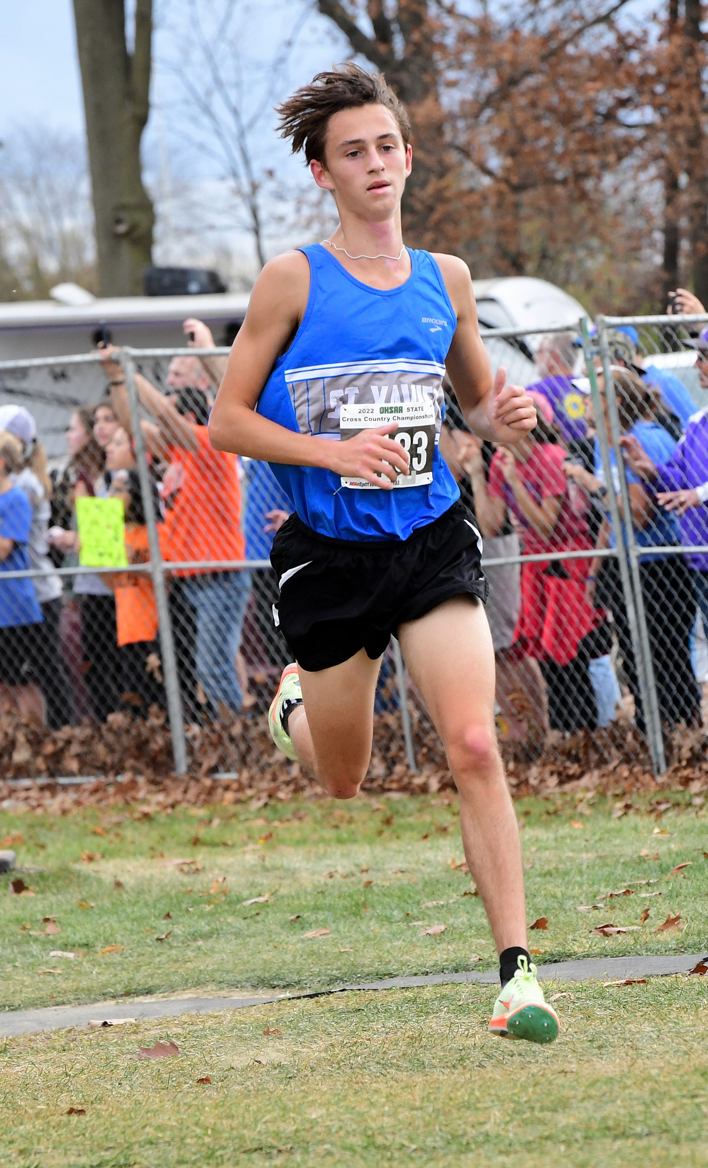 Ohio cross country Cincinnati teams excel at state meet