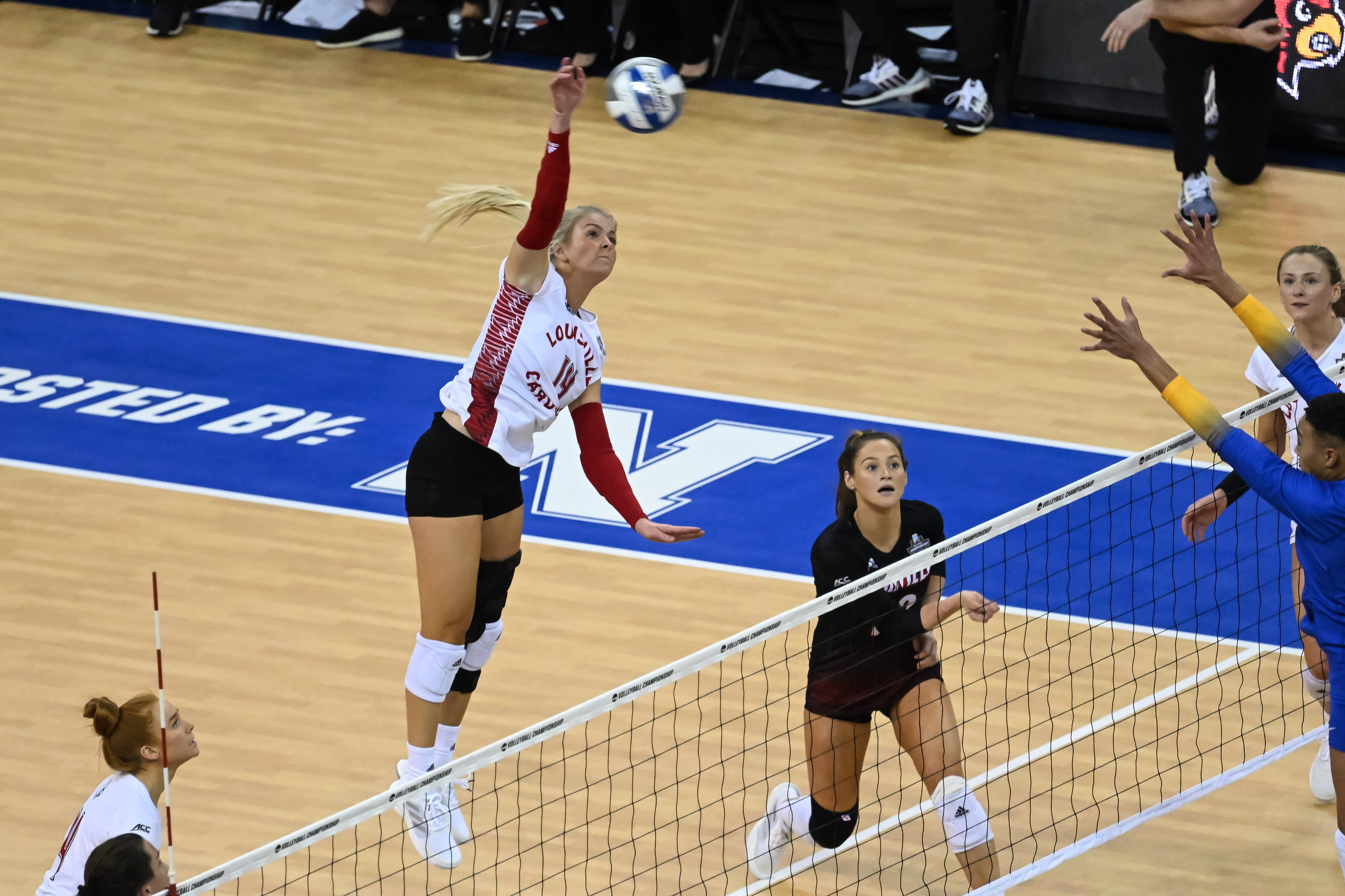 Pitt Vs Louisville Volleyball: How To Watch, Stream NCAA Final Four