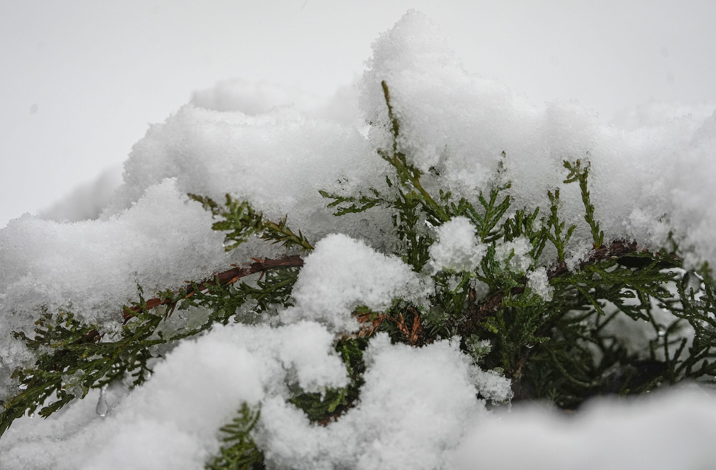 What Is Thundersnow? Here's Why It Happens And Where It Happened