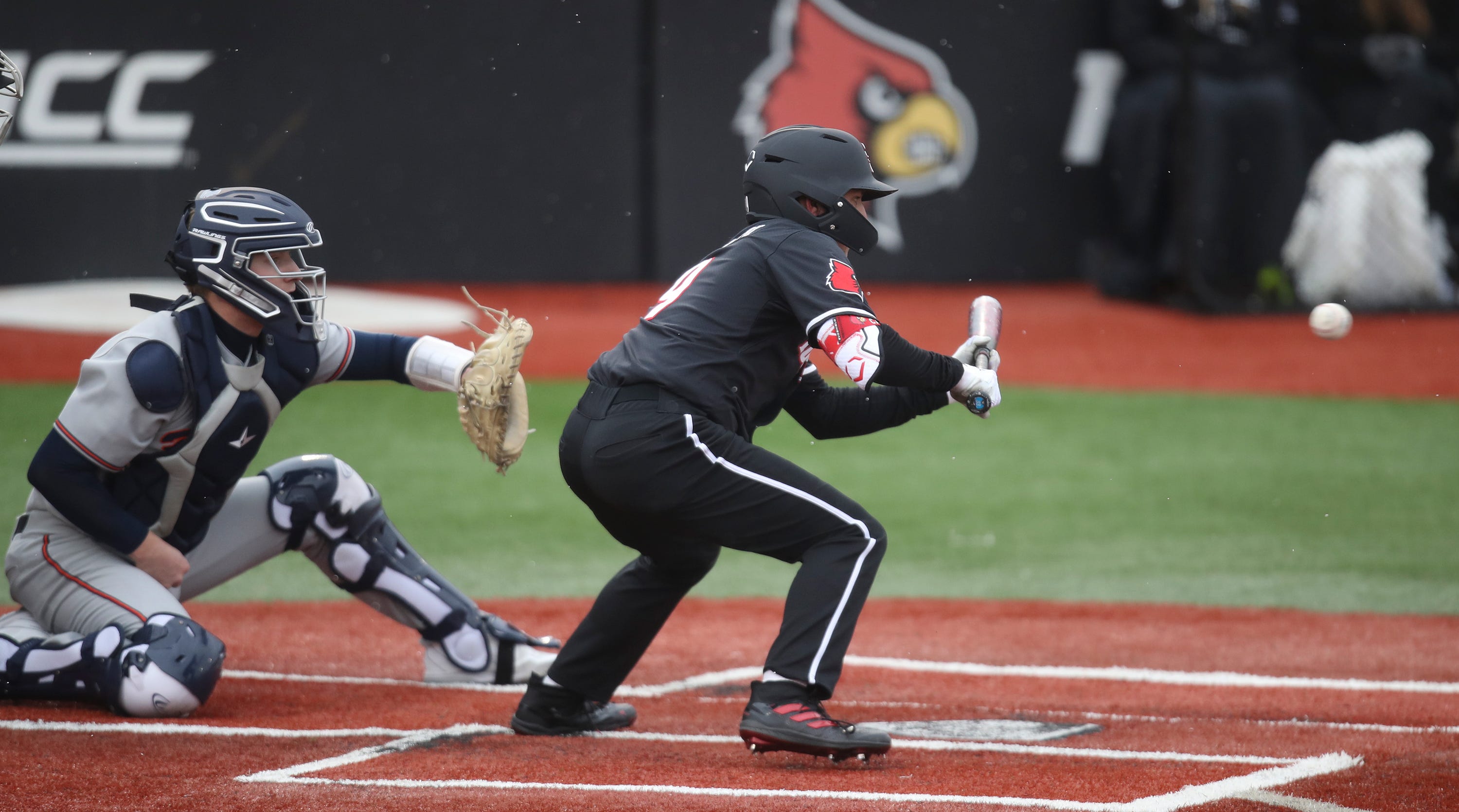 louisville-baseball-looks-to-earn-7th-win-of-2023-season-when-it-hosts