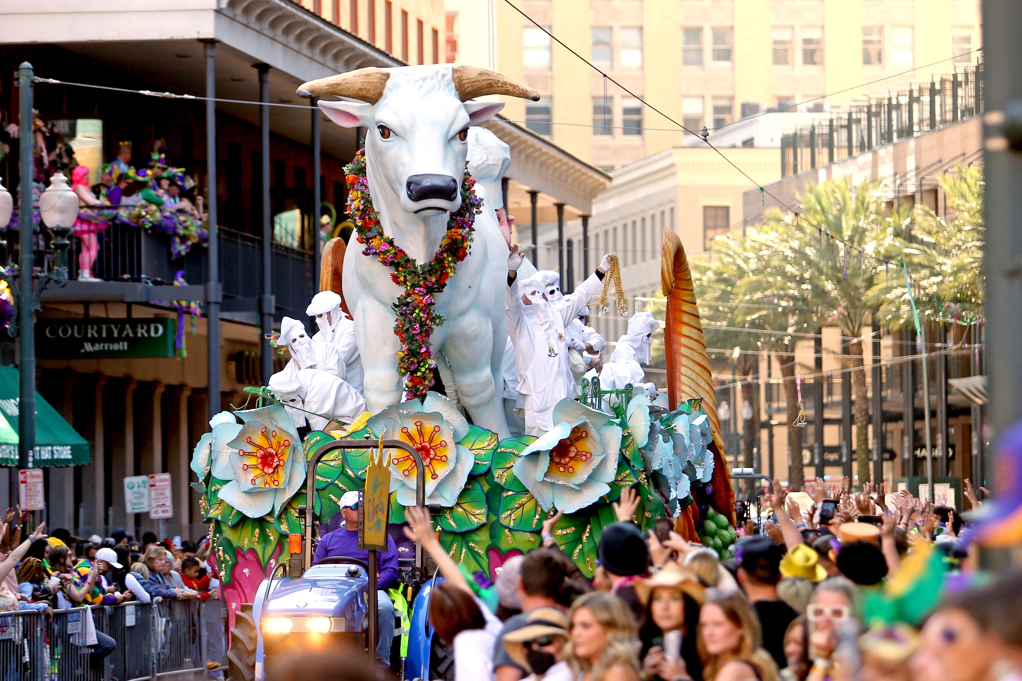 Mardi Gras 2023: What to know about Fat Tuesday celebrations and ...