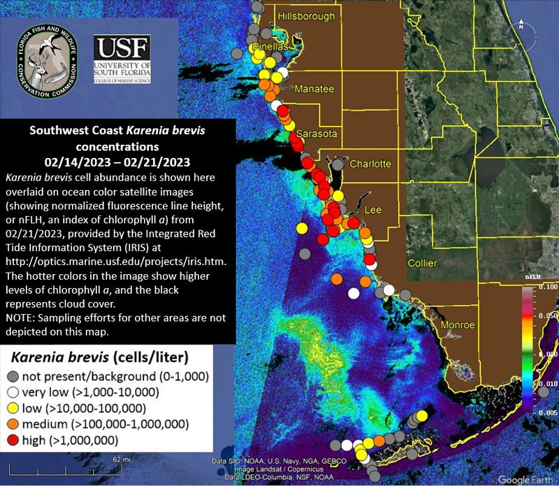 Red tide advisory issued for Sarasota and Manatee counties