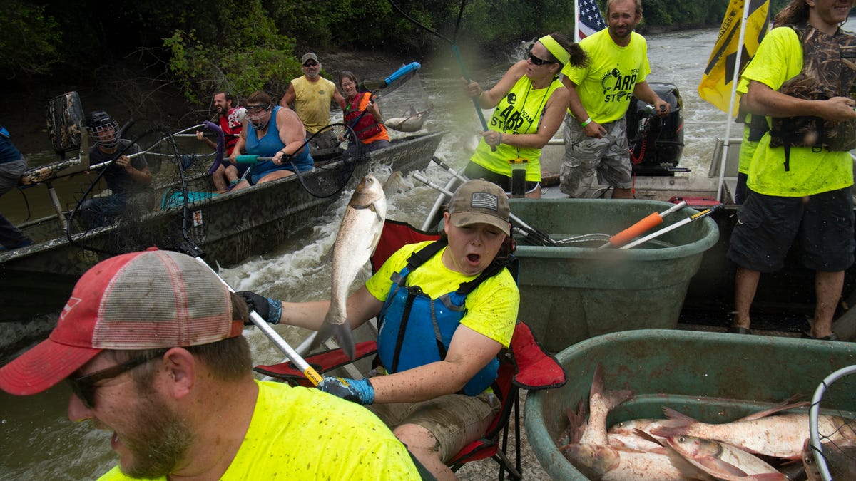 Bow fishing tournament aims to assist in elimination of Asian carp