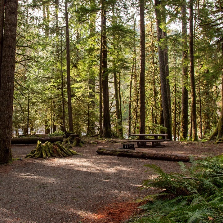 The Staircase Campground at Olympic National Park is located in a forested area near the North Fork Skokomish River.