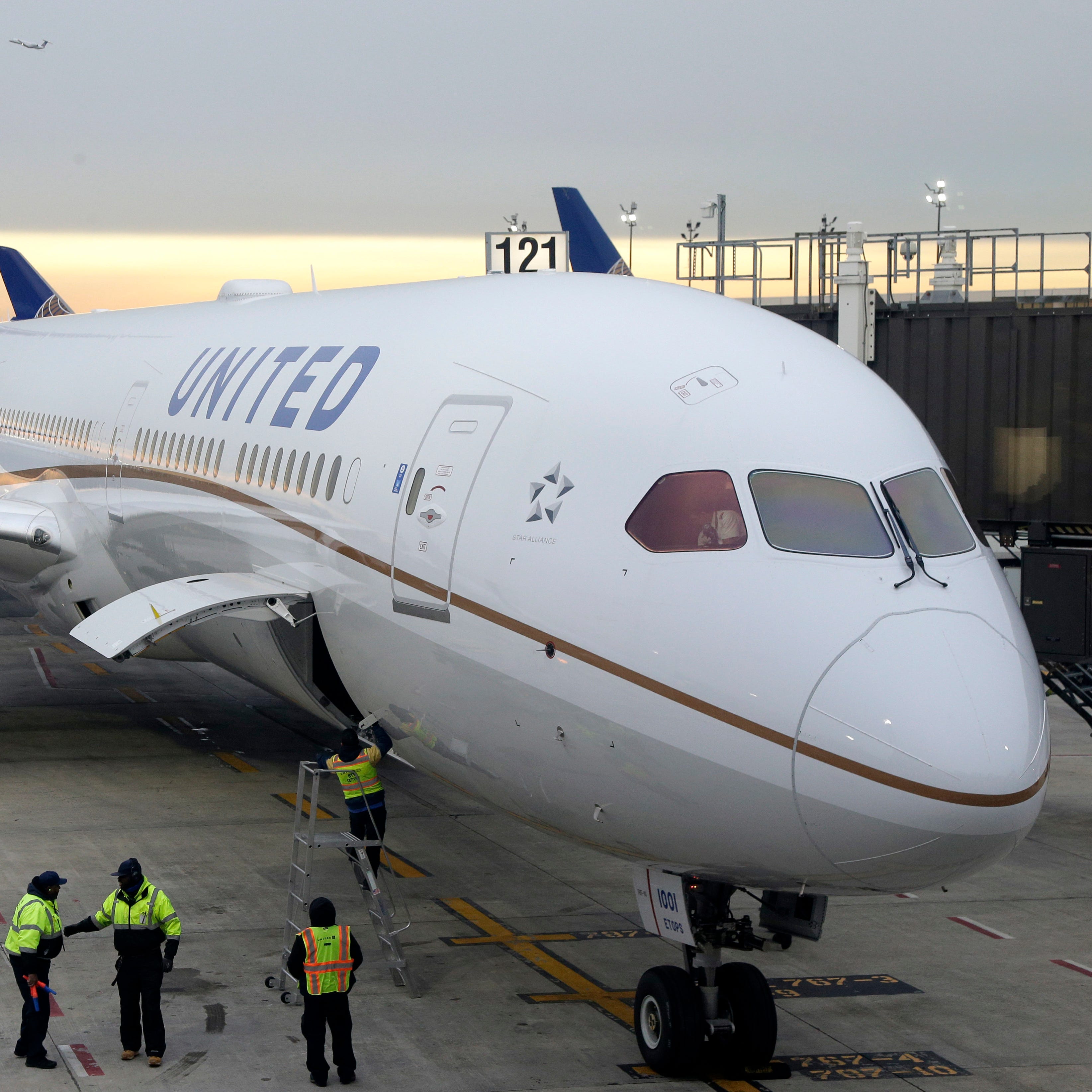 A United Airlines Boeing 787 Dreamliner at Newark Airport in New Jersey on Jan. 7, 2019. (AP Photo/Seth Wenig, File)