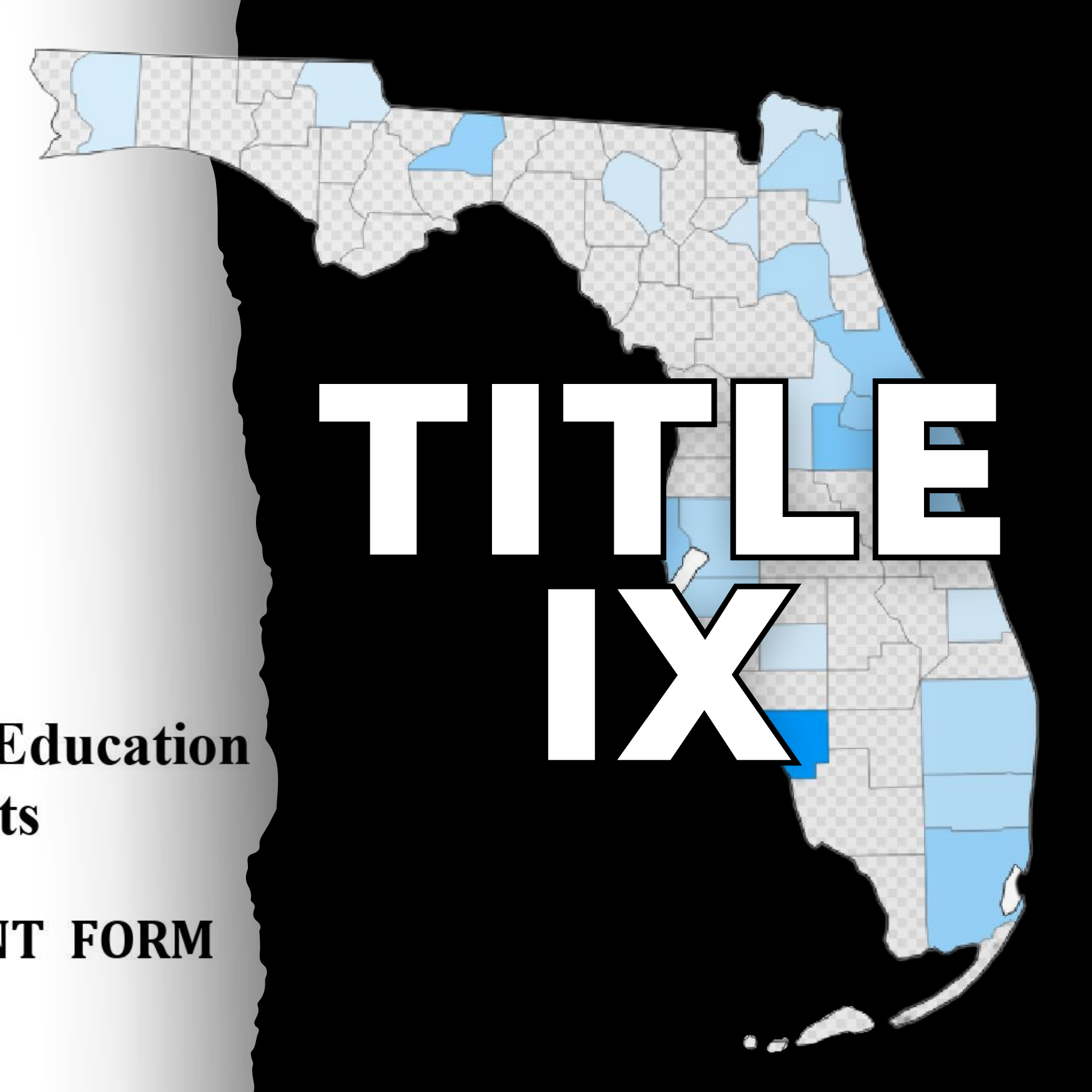 An investigation into schoolchildren's safety finds that Florida is lagging far behind much of the nation in Title IX complaints.