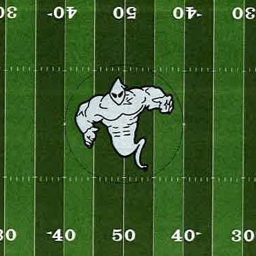 A look at the new turf design planned for the Illinois Valley Central high school football field in 2023.