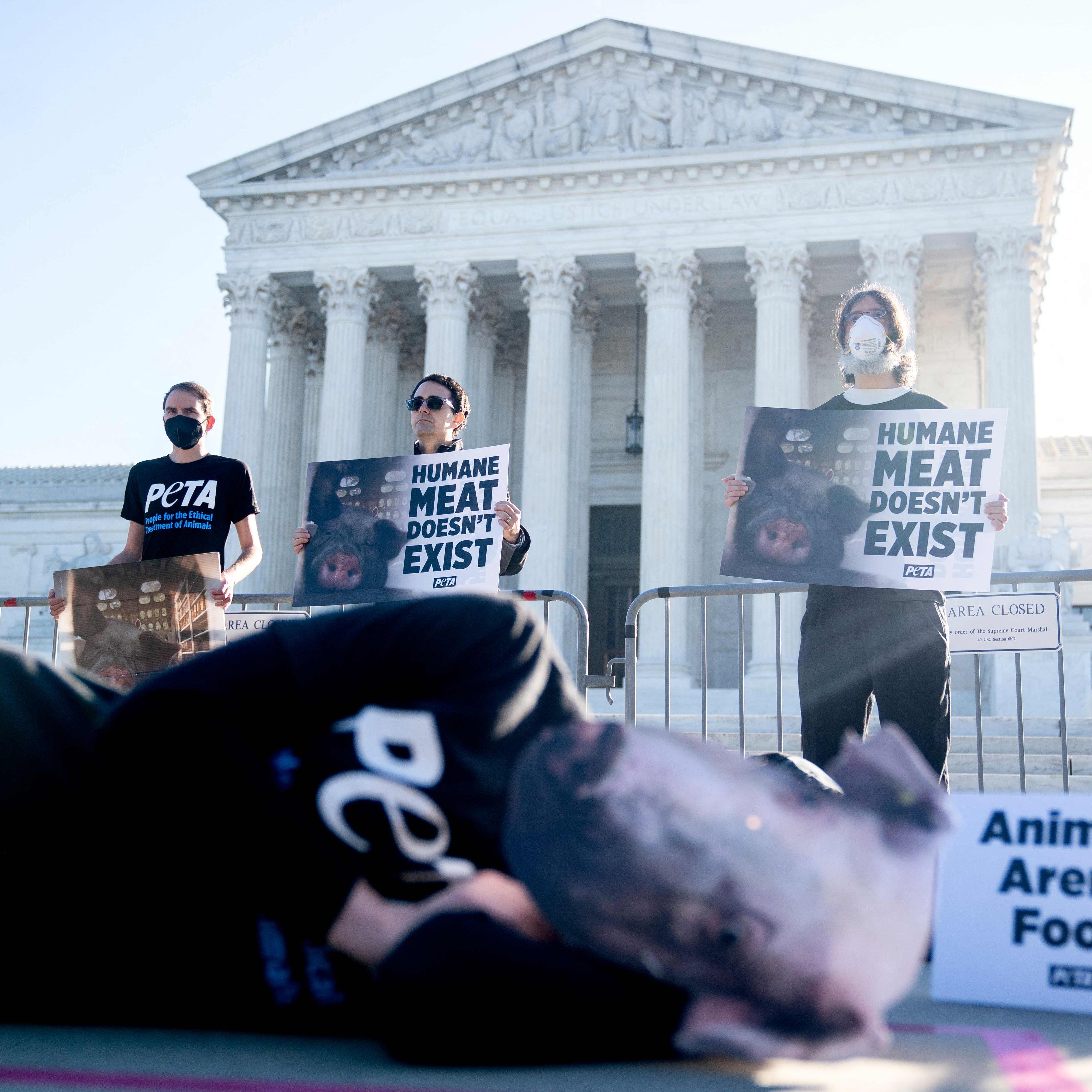 Demonstrators with PETA gather outside the Supreme Court. The Supreme Court on May 11, 2023 upheld a California animal welfare law that bans the sale in America's most-populous state of pork from pigs raised in confined conditions.