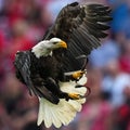 'End of an era': Reds pregame eagle saying goodbye to the diamond after 2 decades