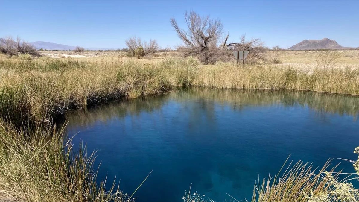 Southern Nevada delegation asks feds for 20-year mining ban near Ash Meadows wildlife refuge