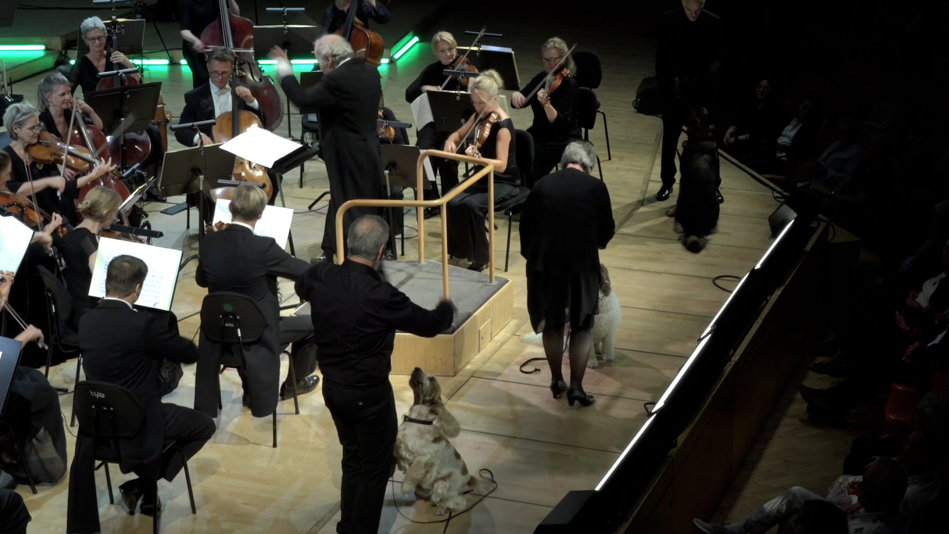 Three dogs lend their voices to bark along with orchestra performance