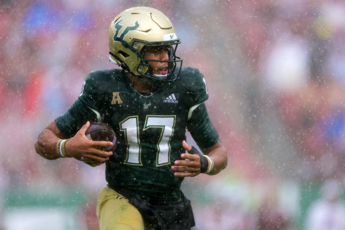 Charlotte vs South Florida Prediction 11-16-24 College Football Picks