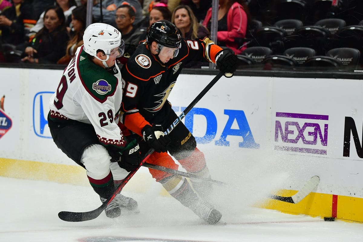 Anaheim Ducks and Arizona Coyotes bring NHL action to the desert